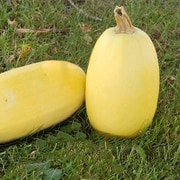 Spaghetti Squash