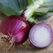 Ruby Red Onion