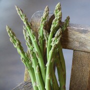 Three Pound Coffee Can Asparagus