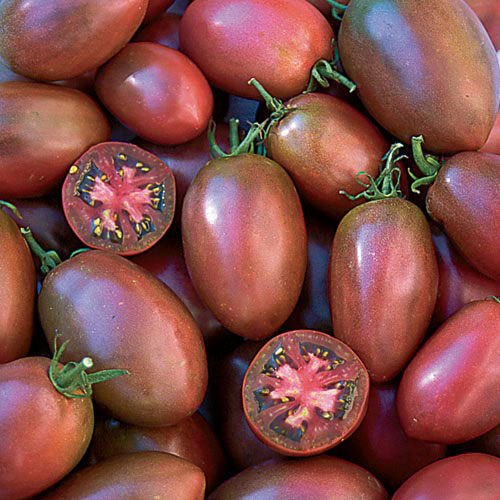 Tomato, Ukrainian Purple