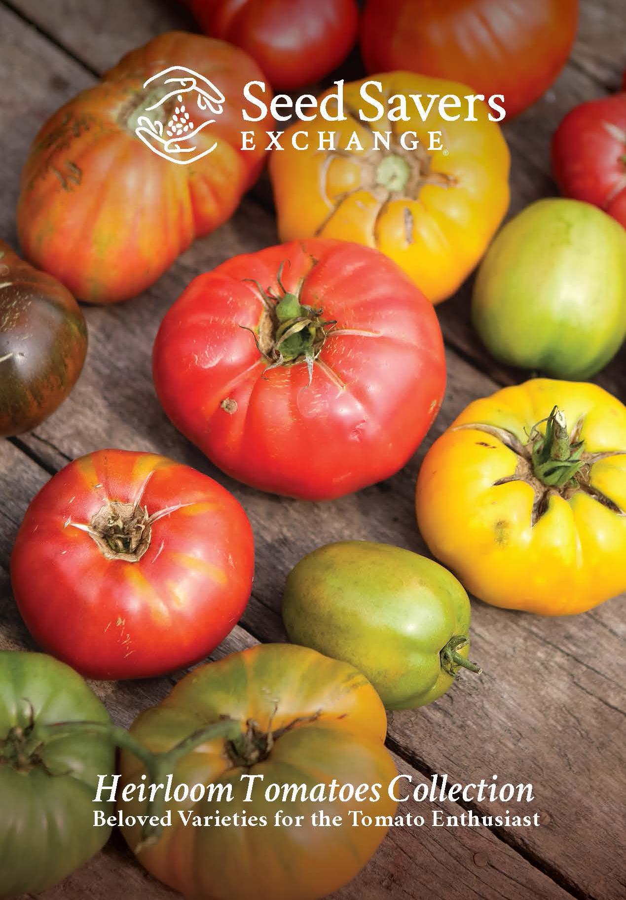 Heirloom Tomato Seed Collection
