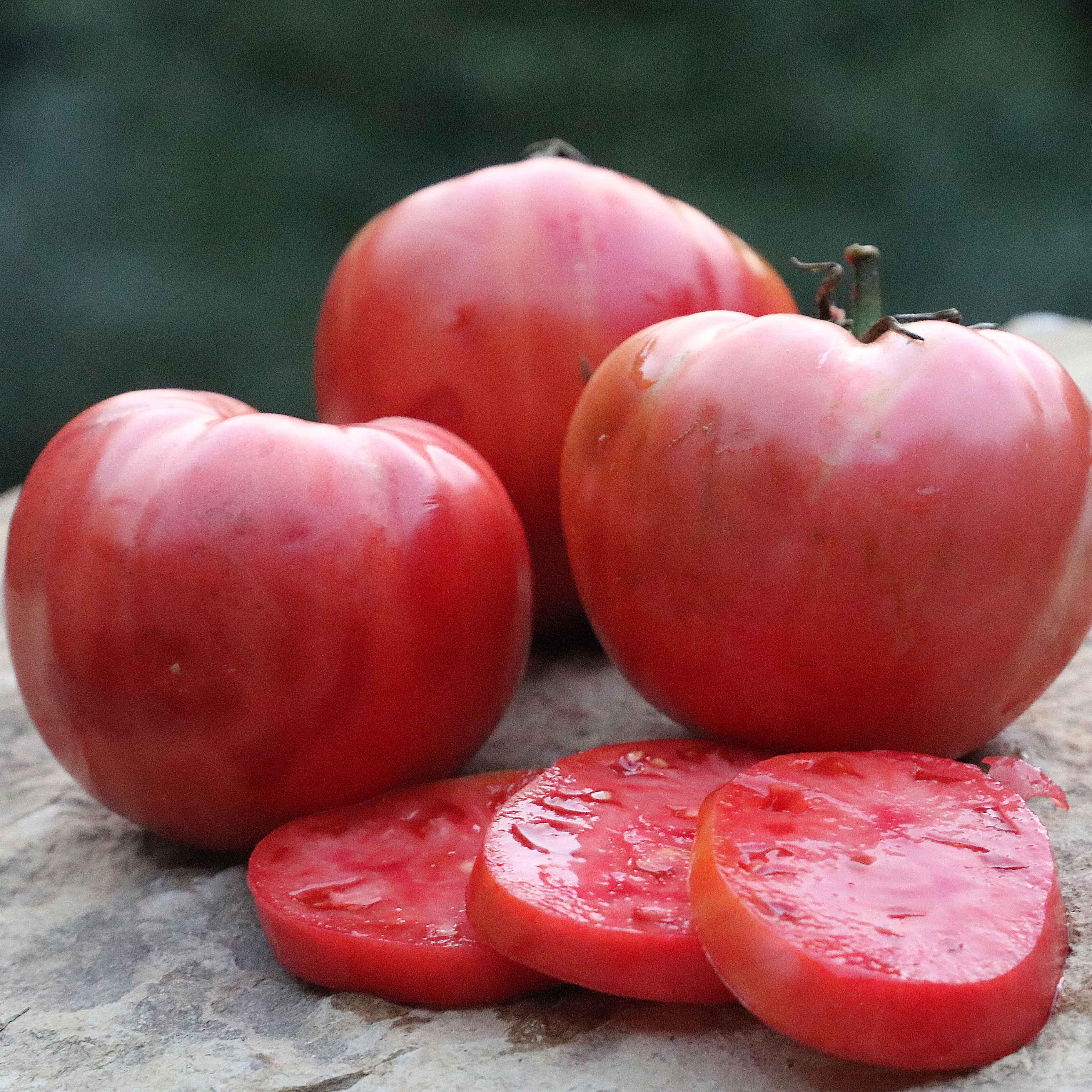 Tomato, Mamie Brown's Pink