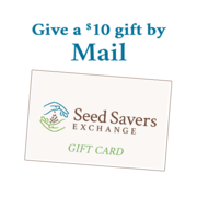 Mailed Gift Card $10