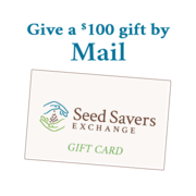 Mailed Gift Card $100