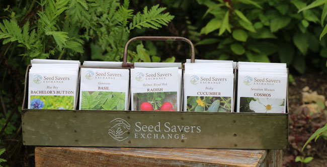Classic Vintage Style Seed Caddy, 1