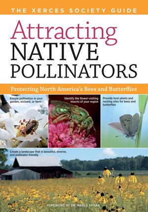 Attracting Native Pollinators