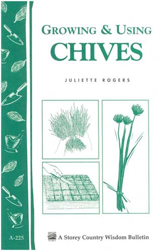 Growing and Using Chives