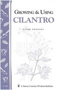 Growing and Using Cilantro