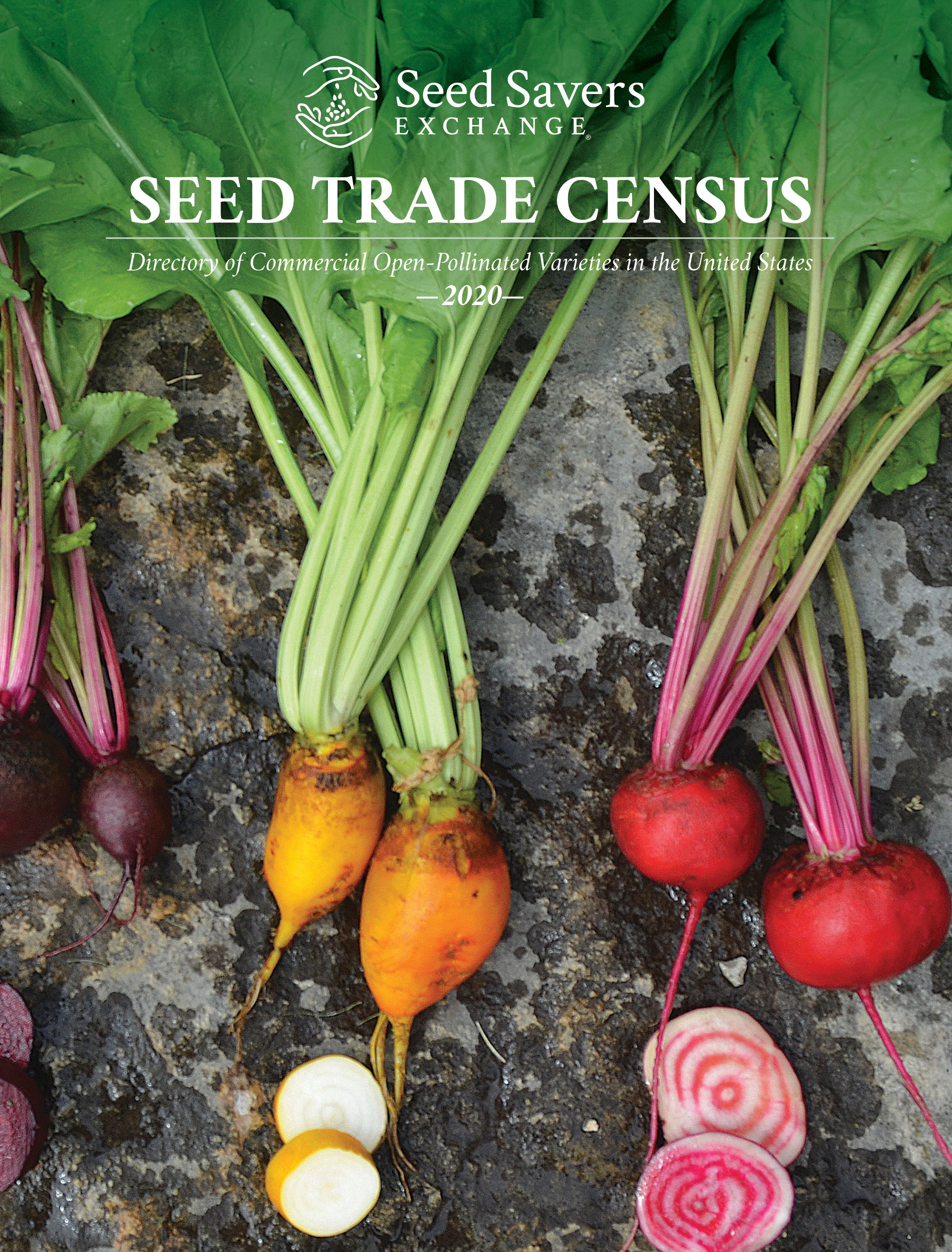 The Seed Trade Census